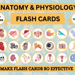 Anatomy & Physiology Flashcards